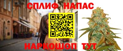 индика Пыть-Ях