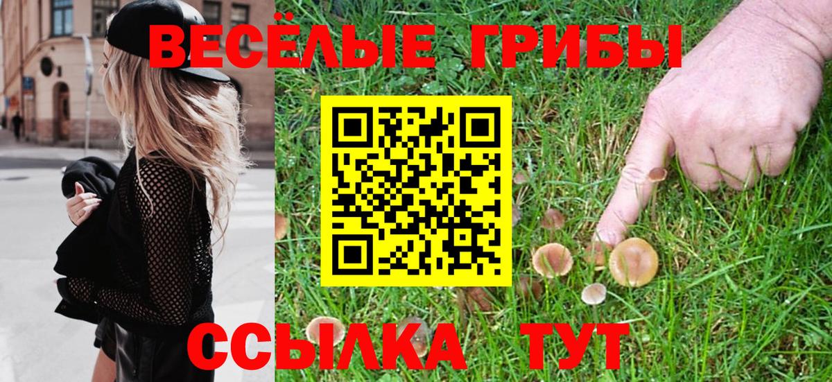 Псилоцибиновые грибы мухоморы  Вход с VPN  Псилоцибиновые грибы Psilocybe  Сатка 
